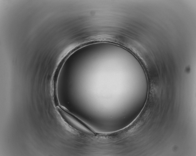 X0000094341082200711091423