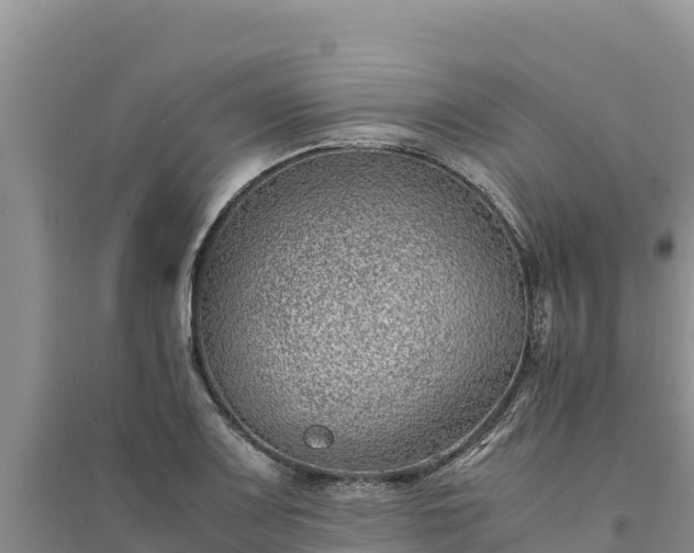 X0000094341083200711091423