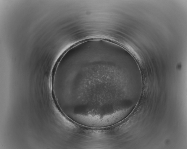X0000094341084200711091423