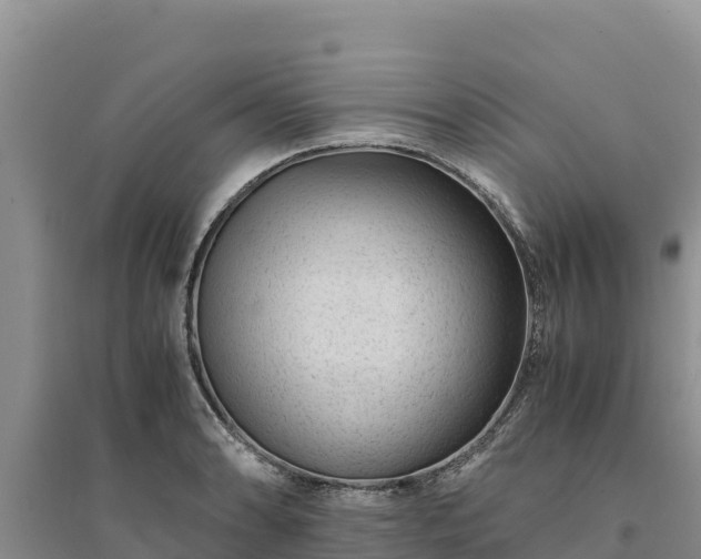 X0000094341086200711091423