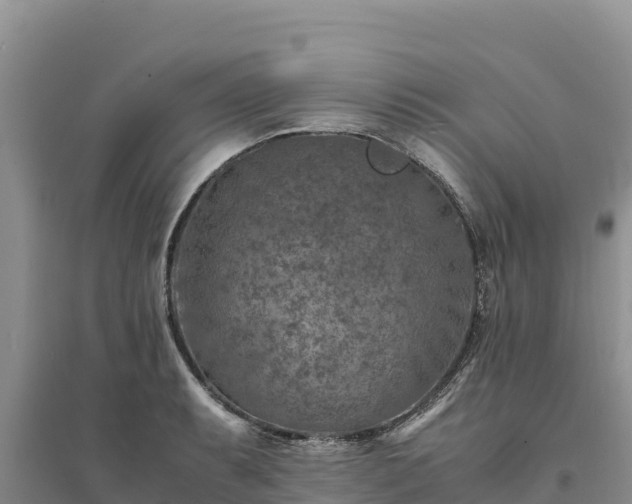 X0000094341087200711091423