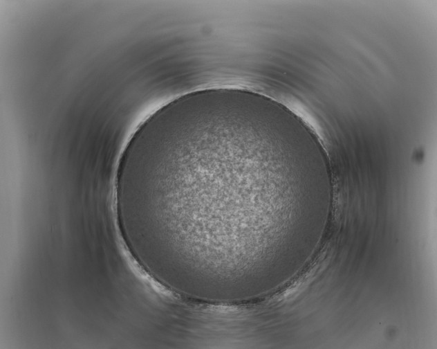 X0000094341088200711091423