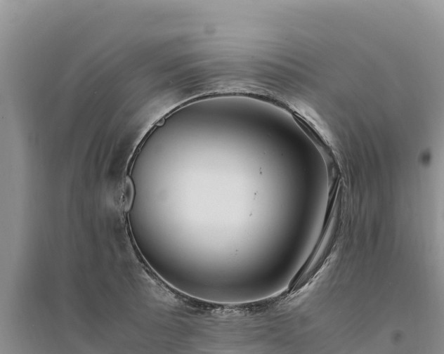 X0000094341089200711091423