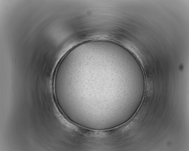 X0000094341090200711091423