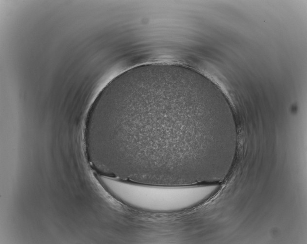 X0000094341091200711091423