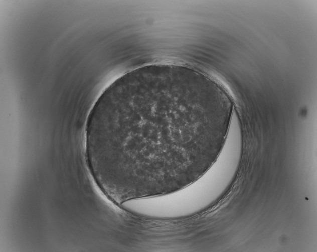X0000094341095200711091423