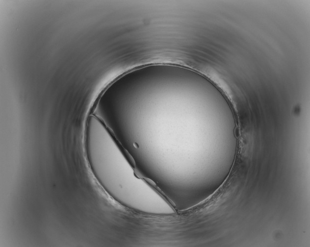 X0000094341096200711091423