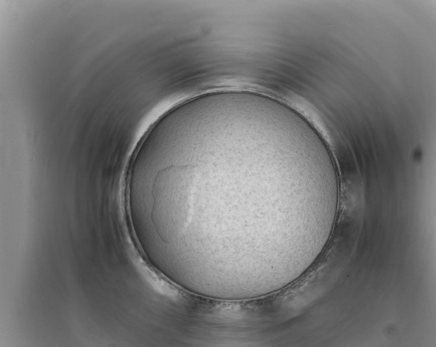 X0000094341098200711091423