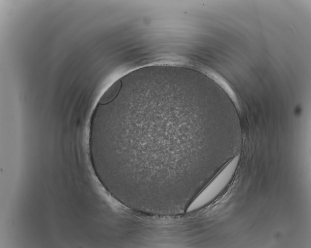 X0000094341099200711091423