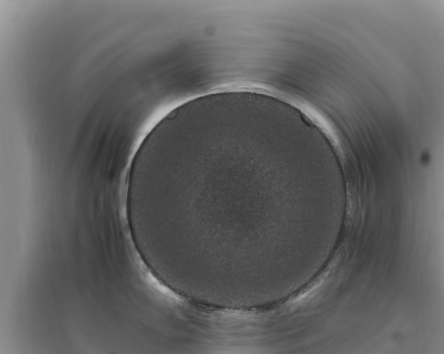 X0000094341102200711091423