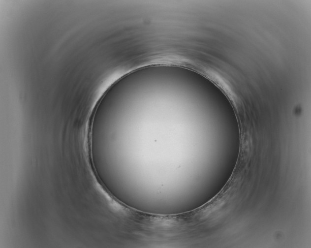 X0000094341103200711091423