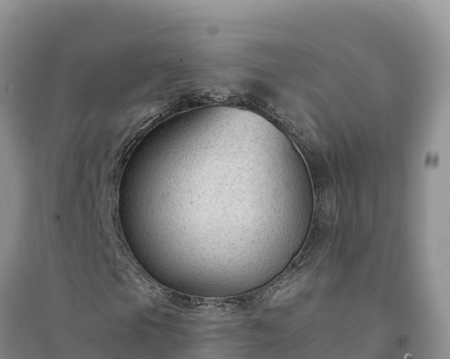 X0000094341105200711091422