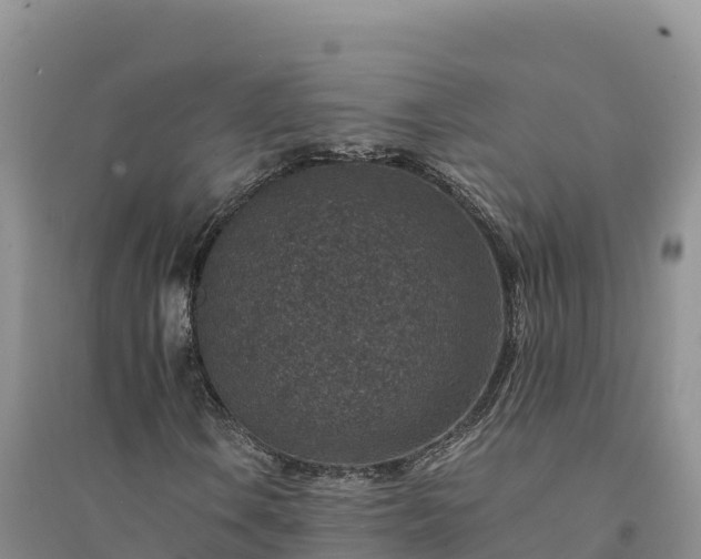 X0000094341106200711091422