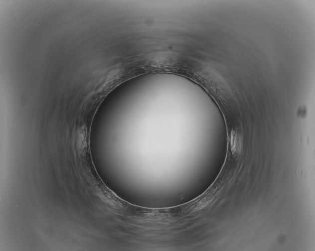 X0000094341107200711091422