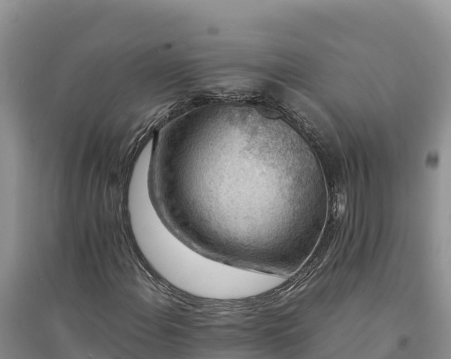 X0000094341108200711091422