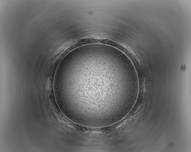 X0000094341110200711091423