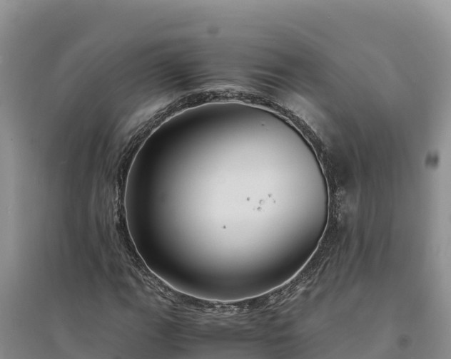X0000094341111200711091423