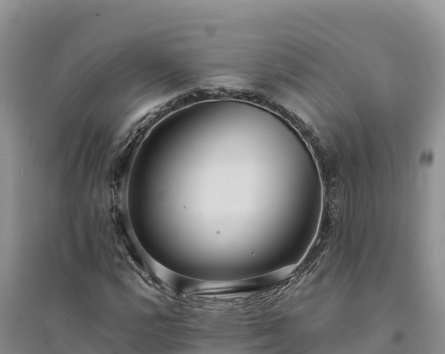 X0000094341112200711091423
