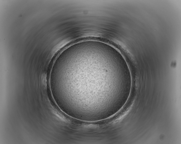 X0000094341113200711091423