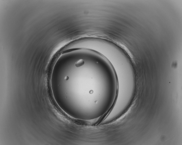 X0000094341114200711091423