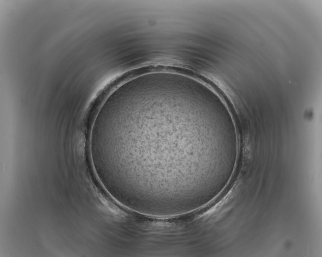 X0000094341115200711091423