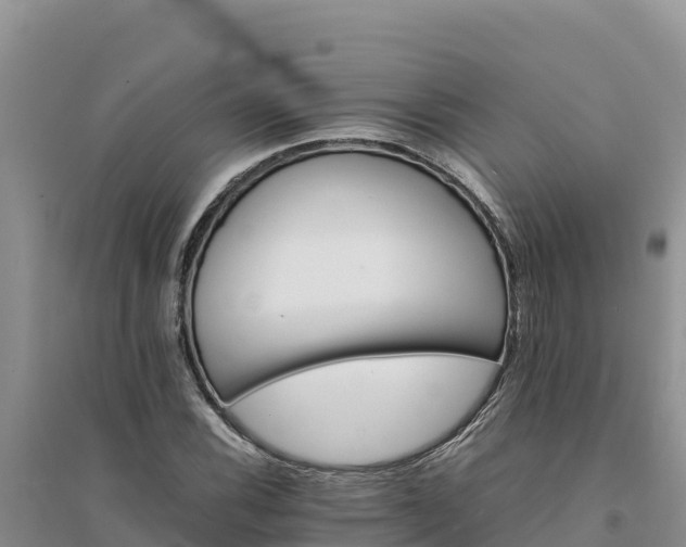X0000094341116200711091423