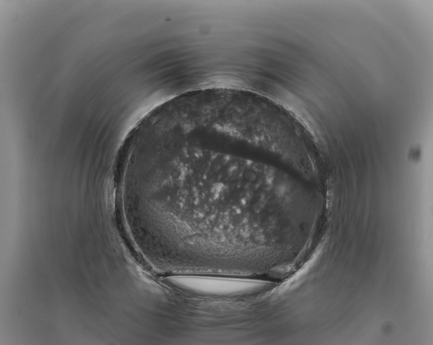 X0000094341117200711091423