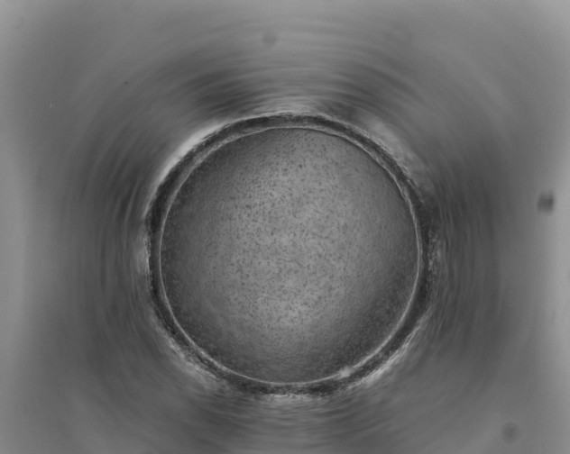 X0000094341118200711091423