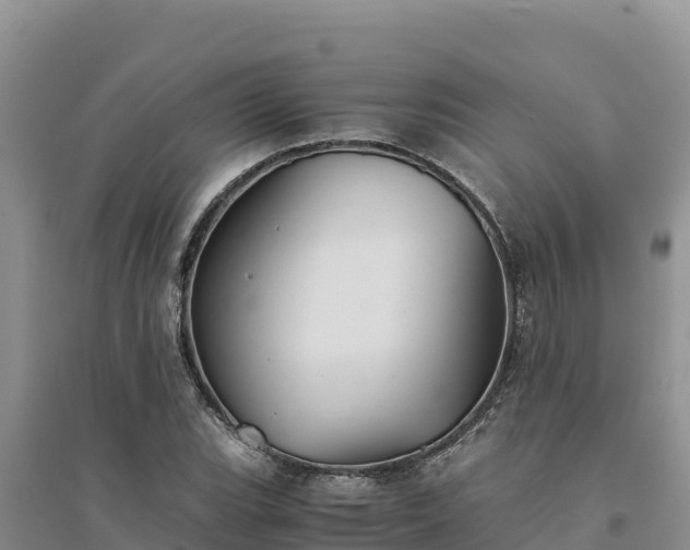 X0000094341119200711091423