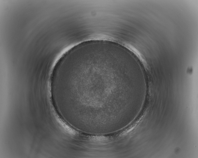 X0000094341120200711091423