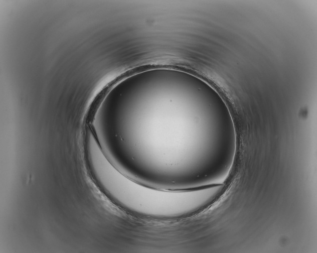 X0000094341122200711091423