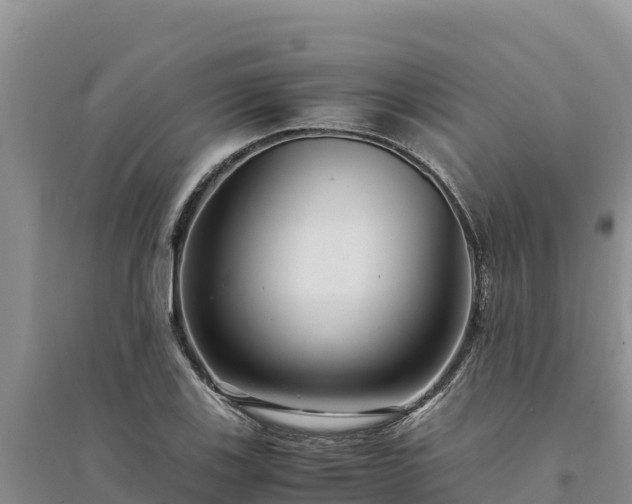 X0000094341123200711091423