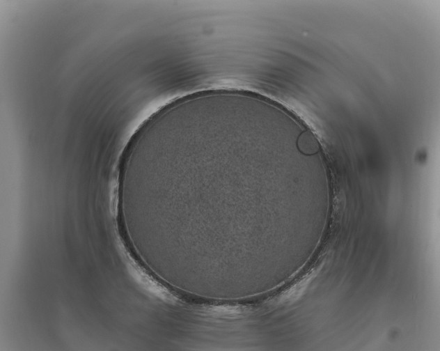 X0000094341126200711091423
