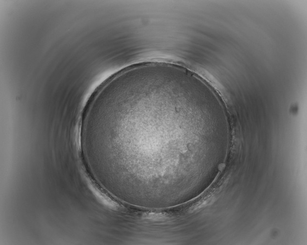 X0000094341128200711091423