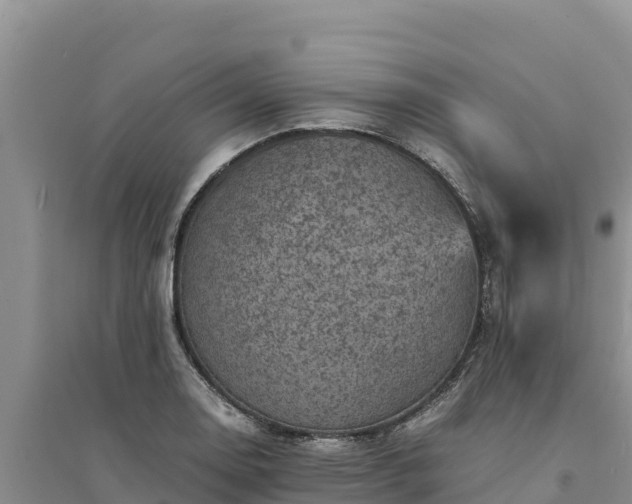 X0000094341130200711091423