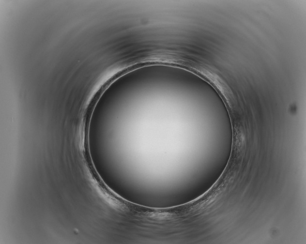 X0000094341131200711091423