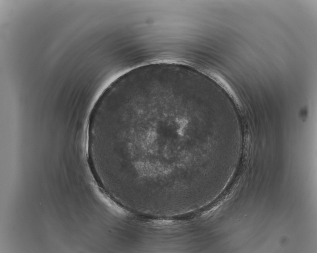 X0000094341132200711091423