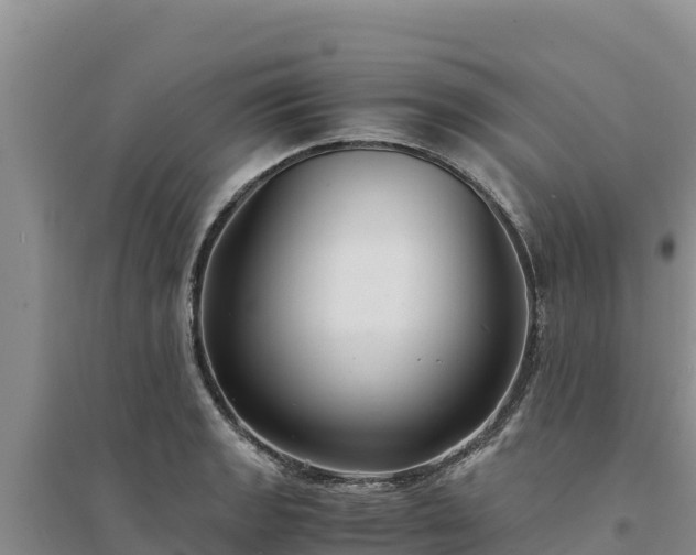 X0000094341133200711091423