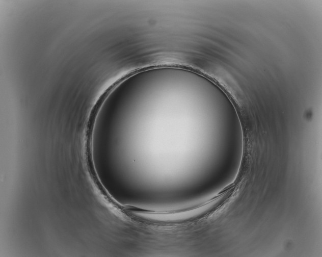 X0000094341134200711091423