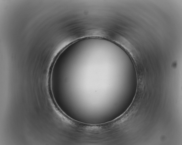 X0000094341135200711091423