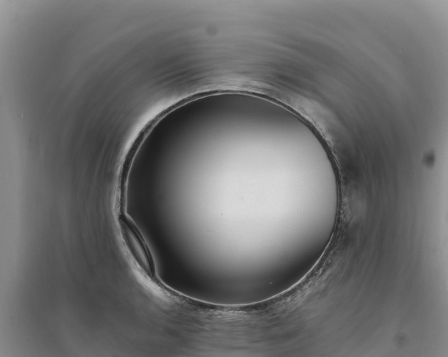 X0000094341136200711091423