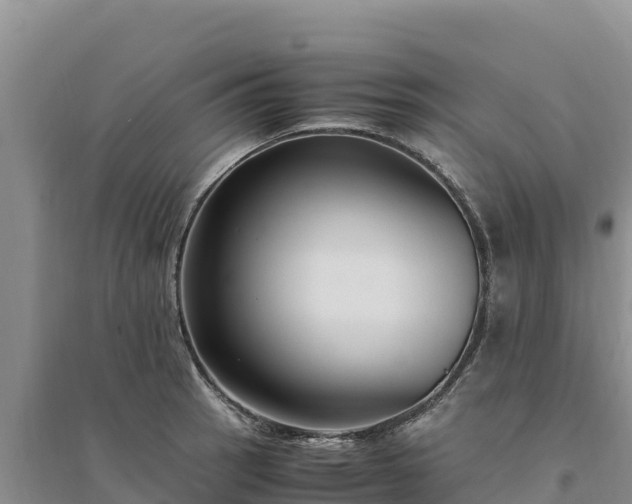 X0000094341137200711091423