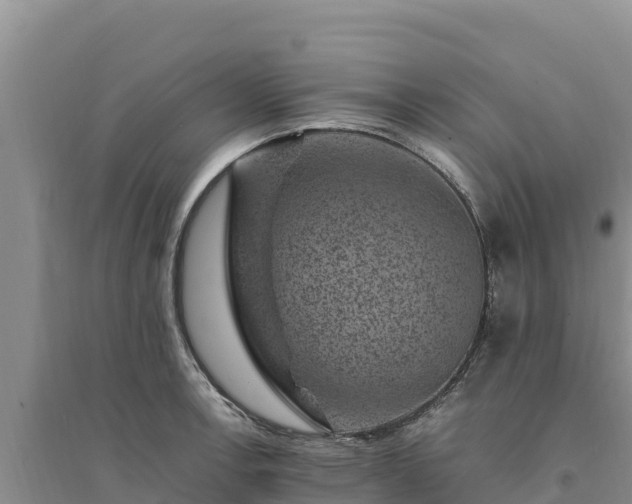 X0000094341138200711091423