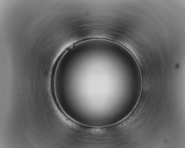 X0000094341139200711091423