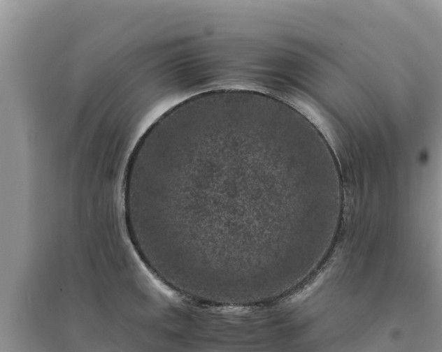 X0000094341141200711091423
