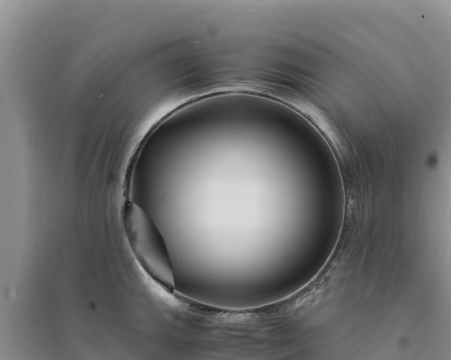 X0000094341143200711091423