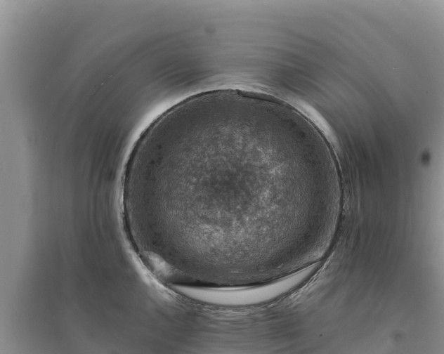 X0000094341144200711091423