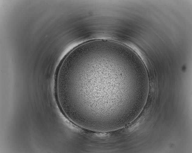 X0000094341147200711091423