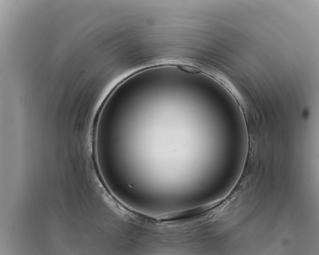X0000094341148200711091423