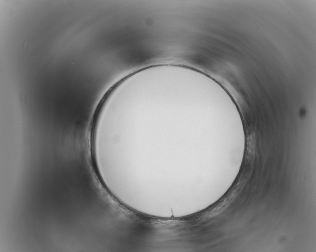 X0000094341150200711091423